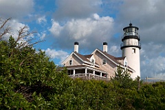 Cape Cod Lighthouse and Museum Surrounded by Shrubs